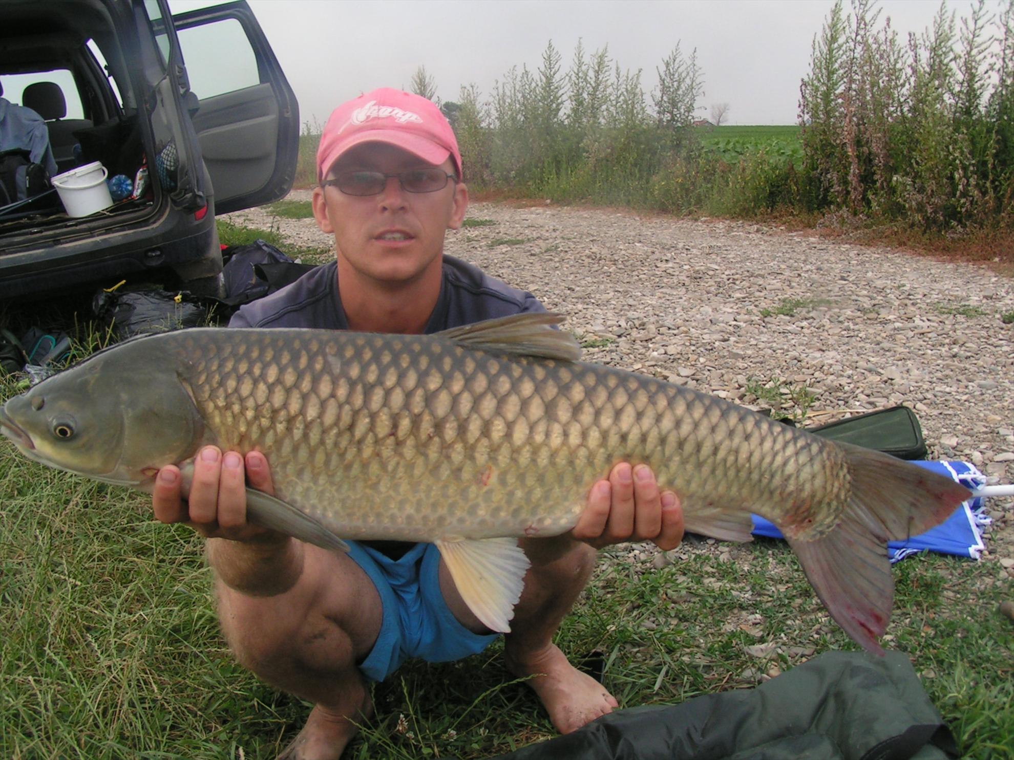 Lates 9-10.07.2012 - pict0813.JPG